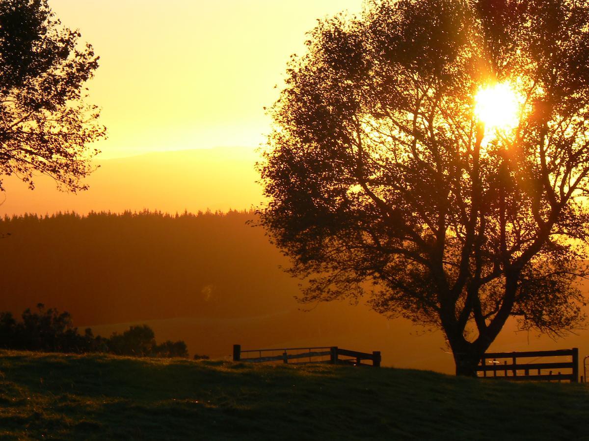 Waitomo Boutique Lodge Εξωτερικό φωτογραφία