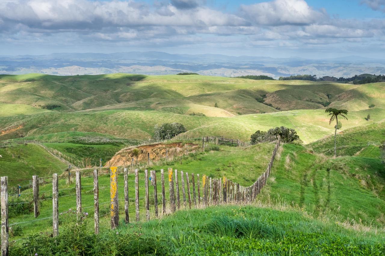 Waitomo Boutique Lodge Εξωτερικό φωτογραφία