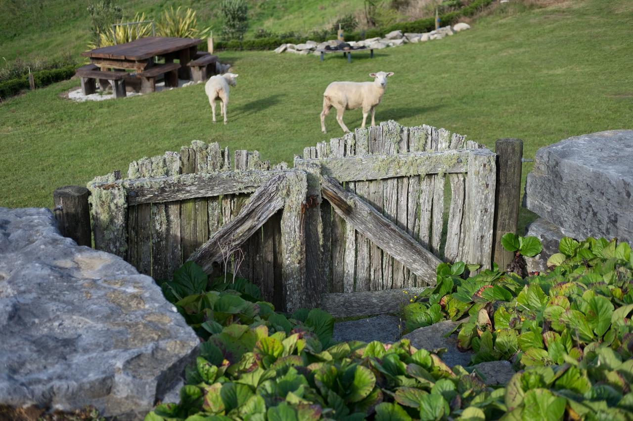 Waitomo Boutique Lodge Εξωτερικό φωτογραφία