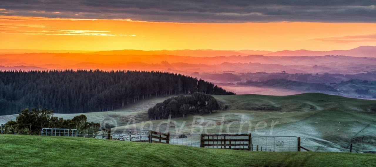 Waitomo Boutique Lodge Εξωτερικό φωτογραφία